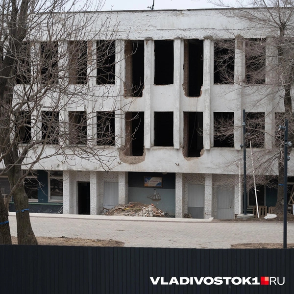 Источник: Елена Буйвол / VLADIVOSTOK1.RU