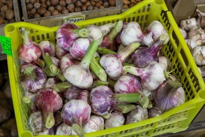 White or purple? Expert reveals which garlic is healthier and which keeps longer