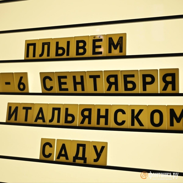 Источник: Андрей Бок / FONTANKA.RU