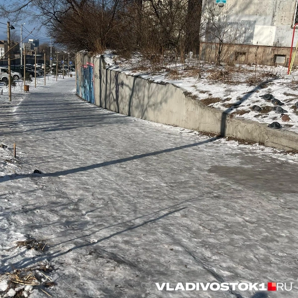 Источник: Елена Буйвол / VLADIVOSTOK1.RU