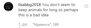 У Ким Кардашьян прибавление в семействе (и это не дети)