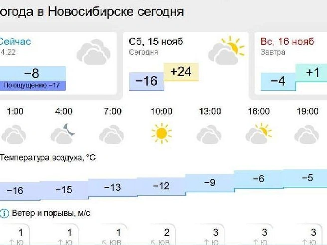 Платформа Gismeteo также отмечает повышенную температуру в Новосибирске. | Источник: gismeteo.ru