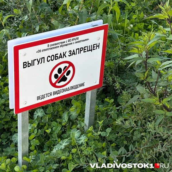 Источник: Елена Буйвол / VLADIVOSTOK1.RU
