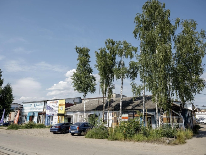 Одноэтажные магазинчики словно спрятались под берёзами. | Источник: Александр Куренной / 76.RU