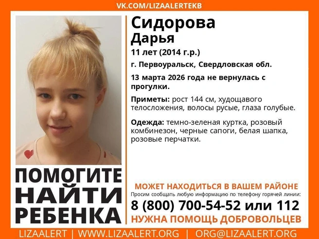 При наличии сведений о девочке необходимо обратиться в полицию | Источник: «ЛизаАлерт»