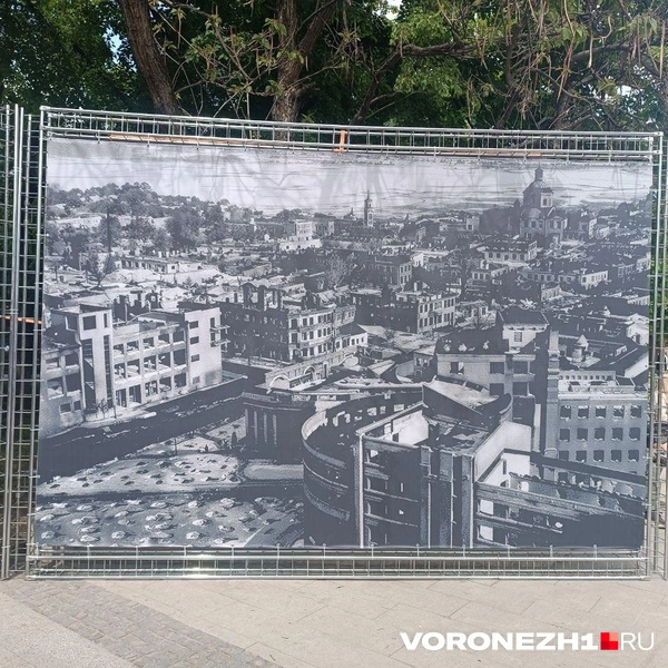Источник: Алёна Воропаева / Voronezh1.ru