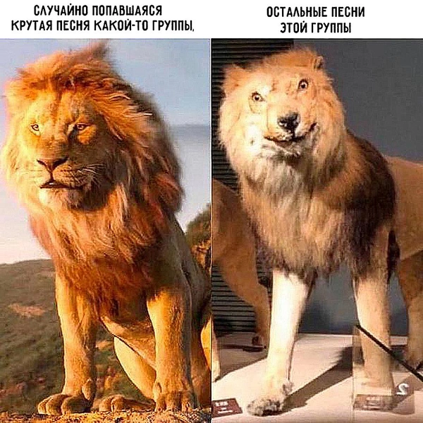 Источник: соцсети