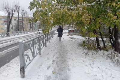 Первый снег выпал под Екатеринбургом