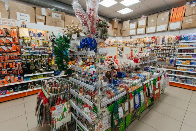 Источник: Ксения Зимина