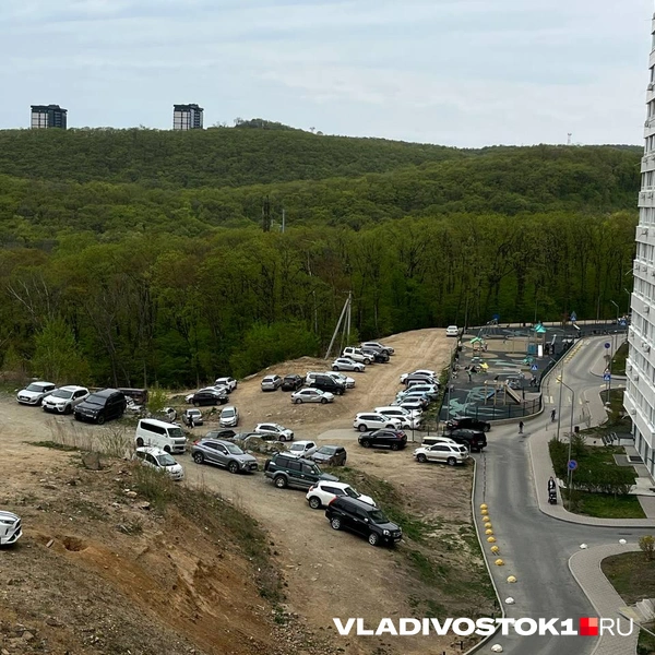 Источник: Алиса Князева / VLADIVOSTOK1.RU