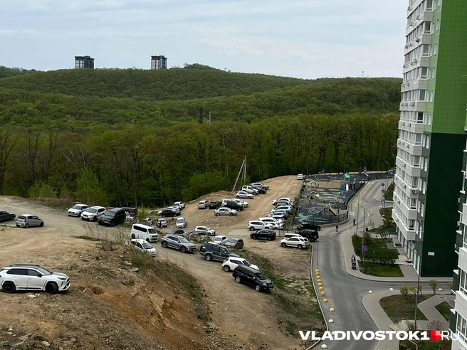 Источник: Алиса Князева / VLADIVOSTOK1.RU