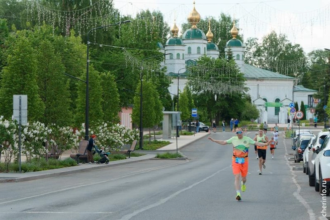 Источник: st.cherinfo.ru
