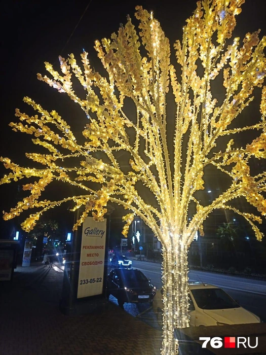 Перед Новым годом Сочи максимально украшают | Источник: Наталья