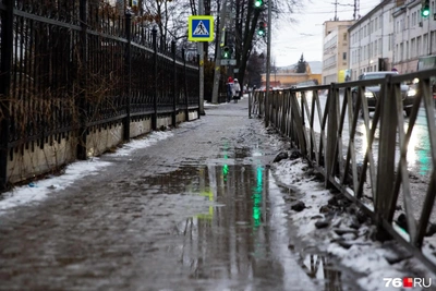 Экстремальное потепление в Ярославле: когда ждать?