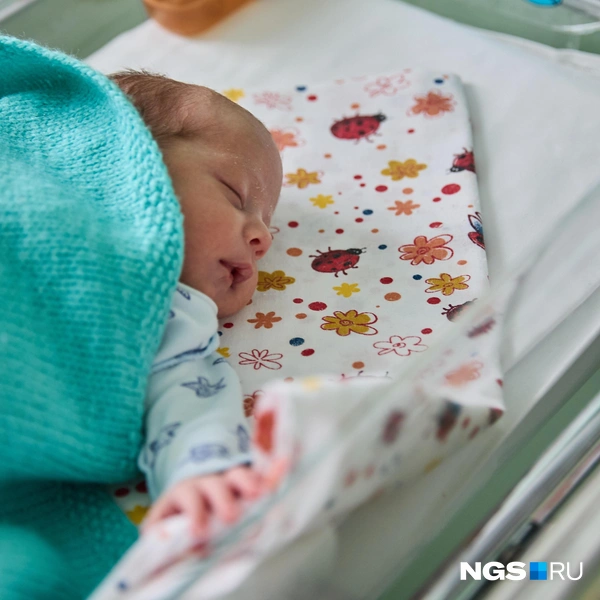 Пока малыши больше спят и не сильно шумят, но дети растут не по дням, а по часам | Источник: Александр Ощепков / NGS.RU