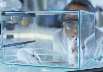 По каким критериям подбирают лабораторных животных?