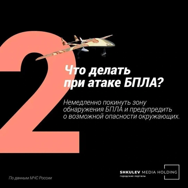 Источник: Полина Авдошина
