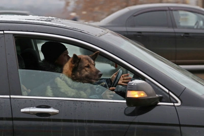 Названа главная причина дорожного хаоса в Уфе