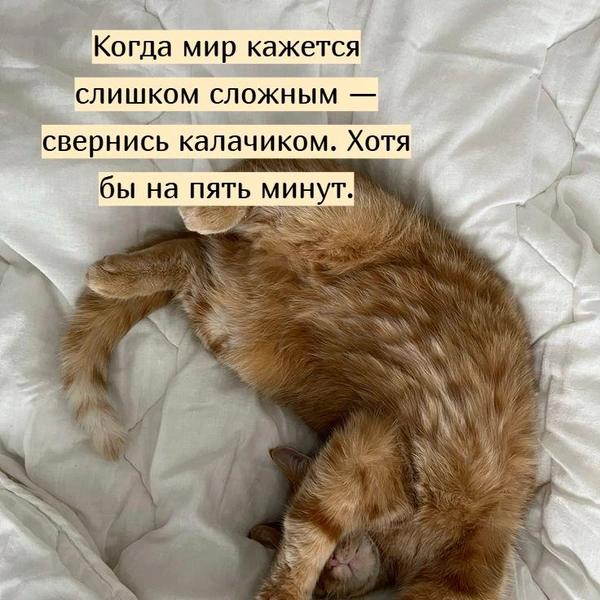 Источник: Социальные сети