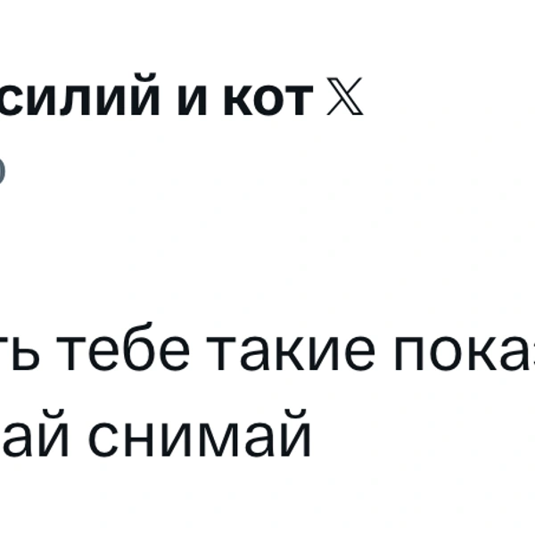Источник: X (Twitter)