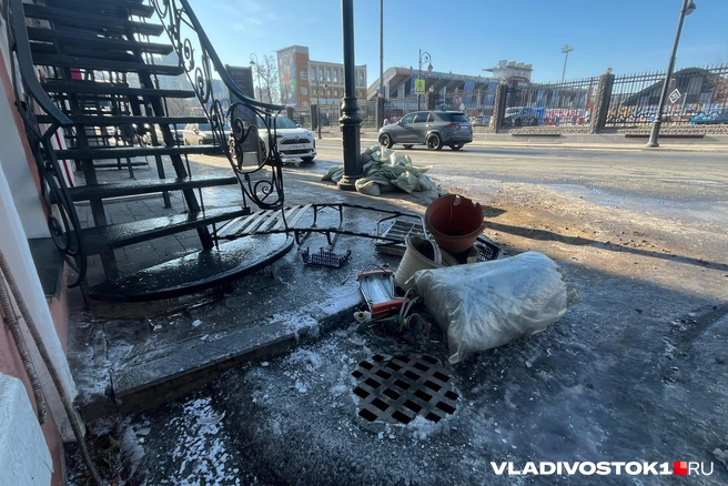 Источник: Елена Буйвол / VLADIVOSTOK1.RU