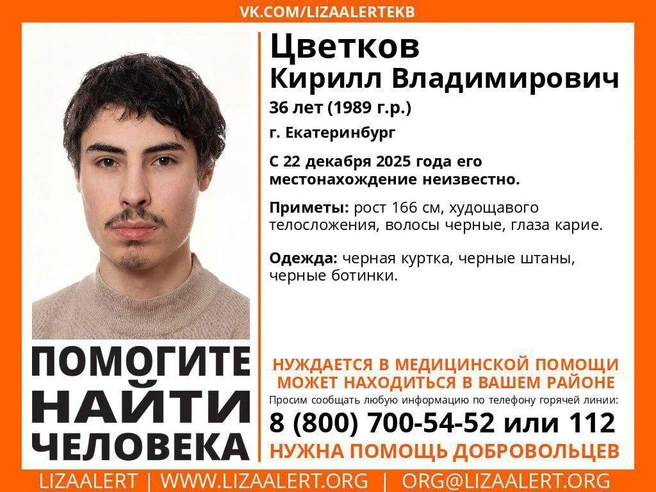 Источник: «ЛизаАлерт» Свердловской области