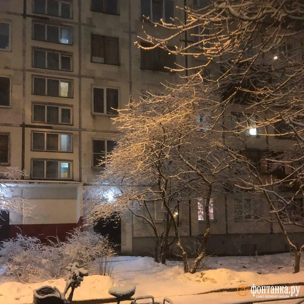 Источник: читатель «Фонтанки»