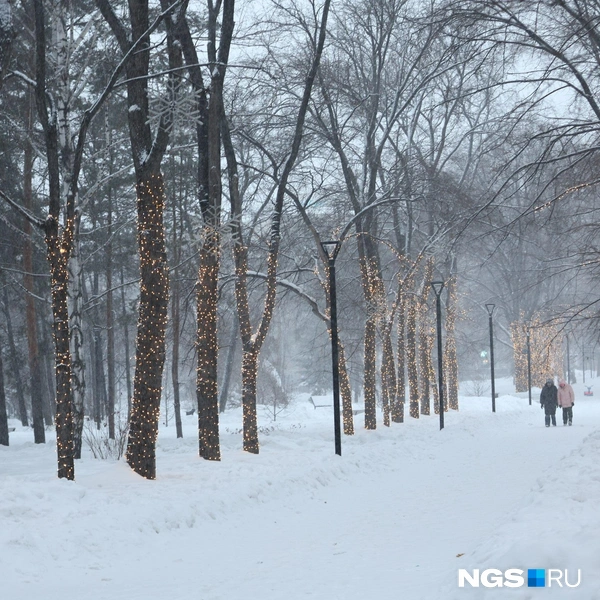 Красивый снегопад | Источник: Александр Ощепков / NGS.RU