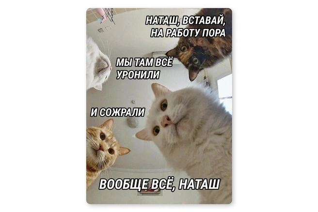 И так каждое утро | Источник: Мария Романова / Городские медиа