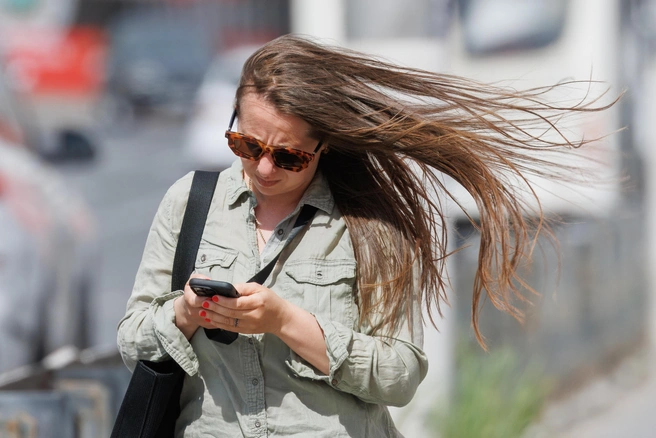 Это только кажется, что выбрать фен легко | Источник: Алексей Волхонский / V1.RU