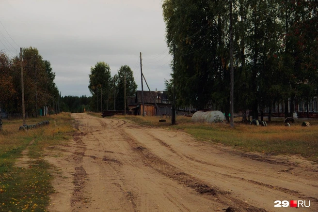 «Жизнь здесь словно остановилась, а самые теплые воспоминания из детства — тут, в любимом лесном поселке Широкое», — говорят местные жители | Источник: Дмитрий Черноусов
