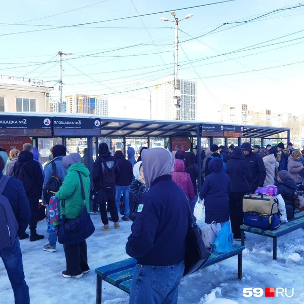 Некоторым все же везет и за ними приезжают автобусы. Но далеко ли они уедут? | Источник: Тимофей Калмаков / 59.RU