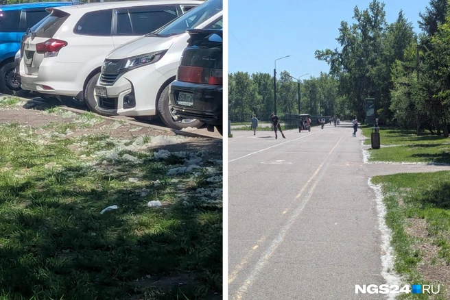 Тополиный пух уже повсюду в Красноярске | Источник: Мария Ленц / NGS24.RU