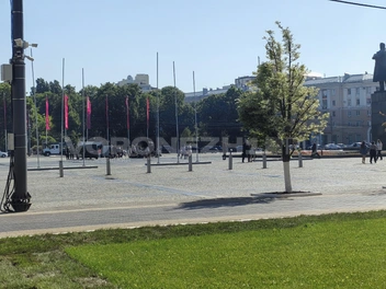 Источник: Андрей Пашинский / Voronezh1.ru