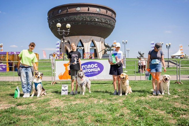 Миссия фестиваля «Голос питомца LIMKORM PET FEST»&nbsp;— рассказать о правильном уходе за питомцами | Источник: LIMKORM