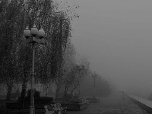 Хочется присесть на скамейку и раствориться в тумане | Источник: Александр Киреев
