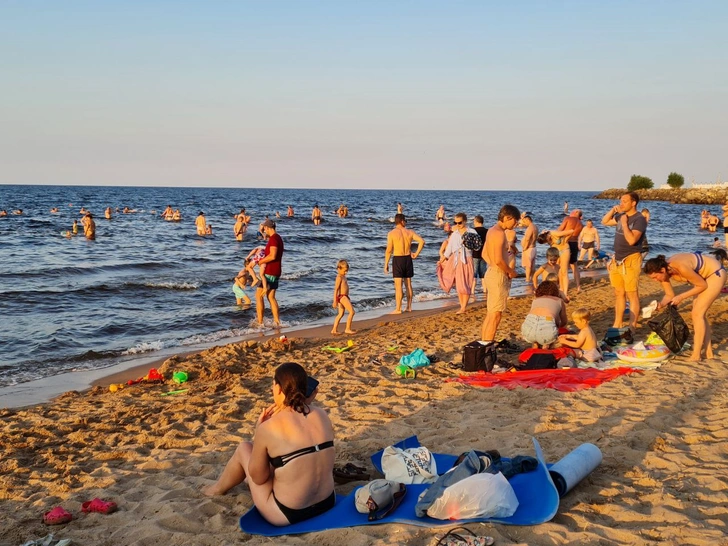 вспышка болезни в Турции