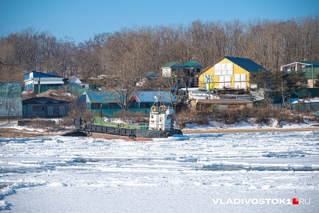 Источник: Елена Буйвол / VLADIVOSTOK1.RU