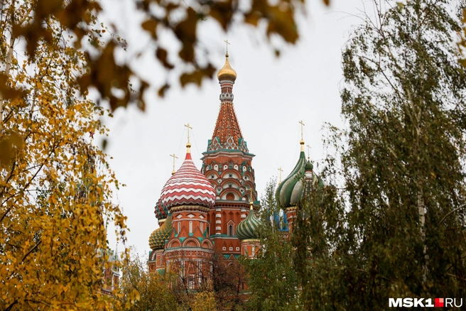 Стало известно, какая погода ожидается в Москве с 15 до 20 сентября | Источник: Артем Устюжанин / MSK1.RU