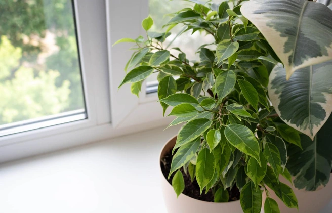 Источник: Sofya Klepikovskaya / iStock