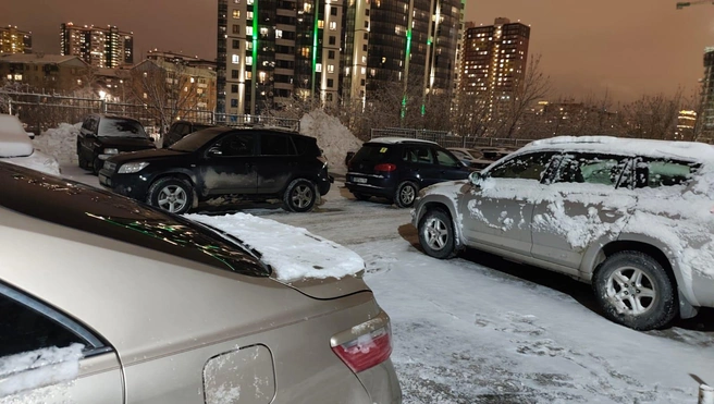 Местная жительница переживает за реку Ельцовку | Источник: читательнциа НГС