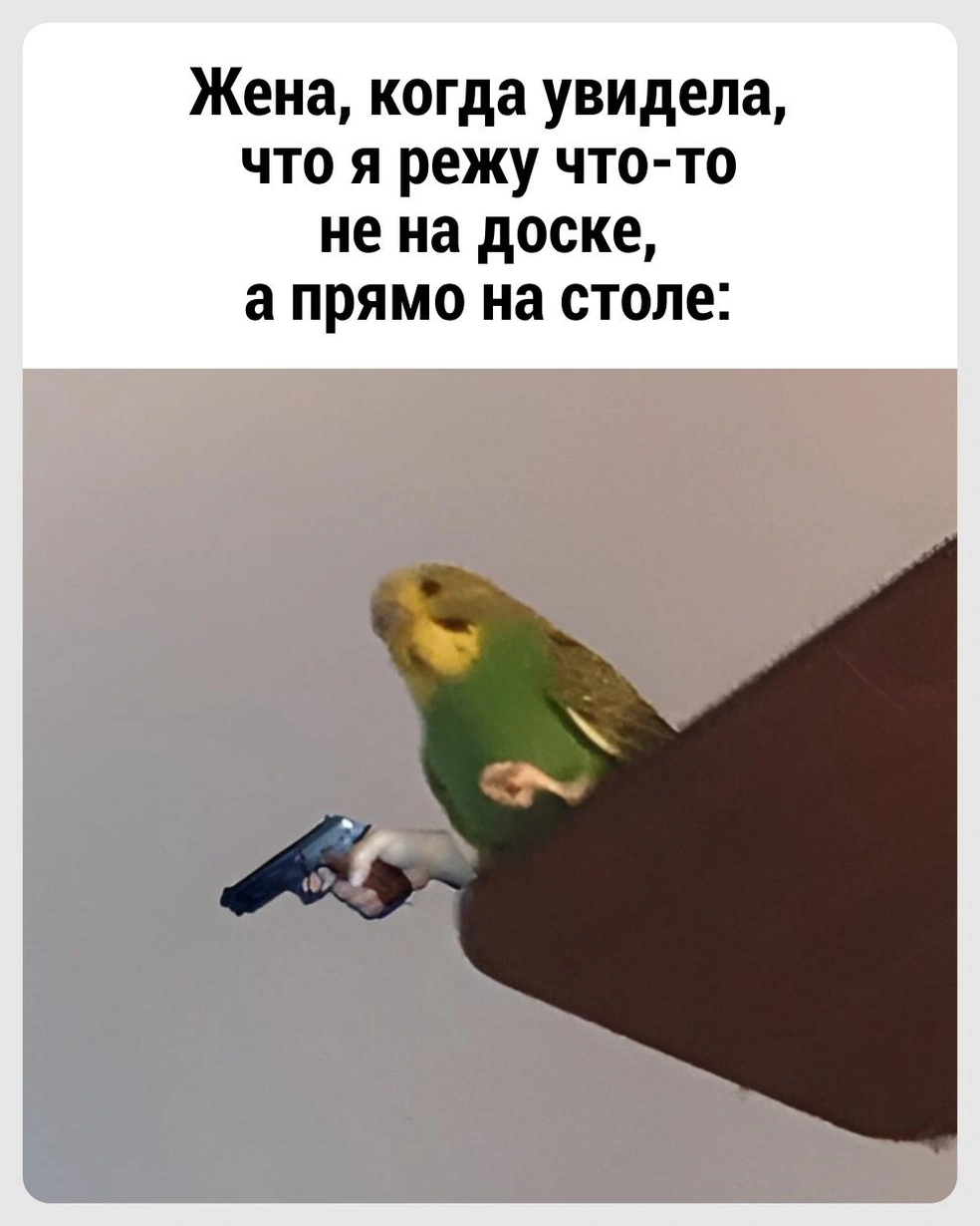 Нужно было сначала подумать! | Источник: Городские медиа