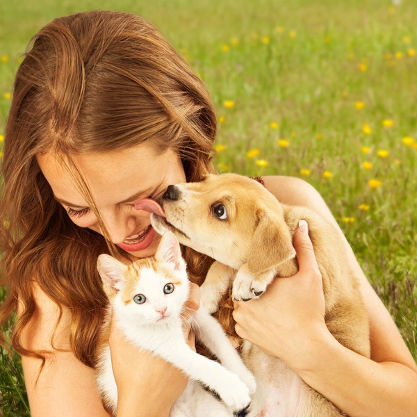 Источник: Shutterstock/Fotodom.ru