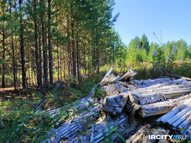 В люминесцентных лампах содержится ртуть. Если их разбить, пары ядовитого вещества попадут в окружающую среду | Источник: Алина Ринчино / «ИрСити»