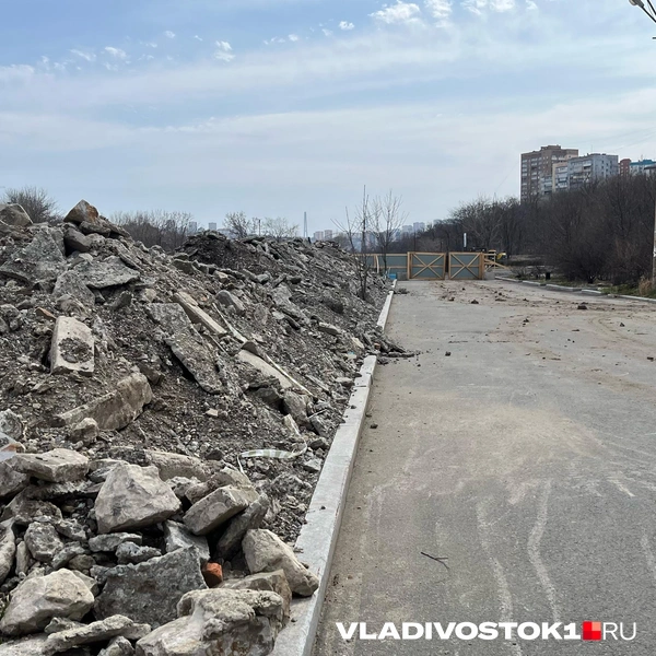 Источник: Елена Буйвол / VLADIVOSTOK1.RU