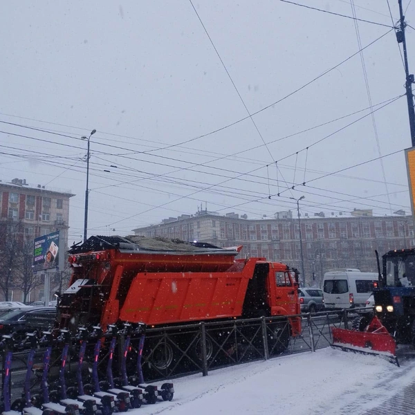 Источник: Комитет по благоустройству Санкт-Петербурга