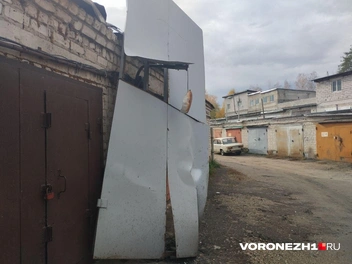 Источник: Дмитрий Волгин / Voronezh1.ru