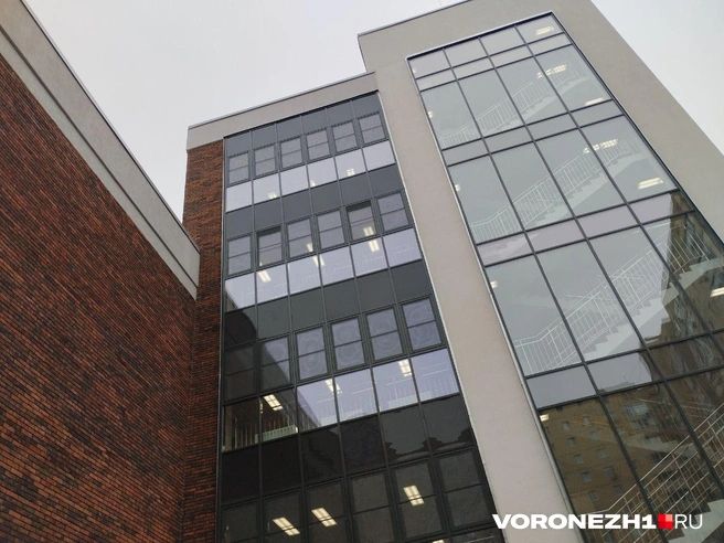 Источник: Дмитрий Волгин / Voronezh1.ru