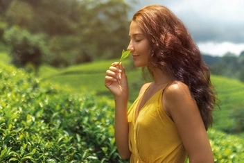 Нюхаете пуэр, раскаленный утюг или асфальт? О чем говорит любовь к странным запахам