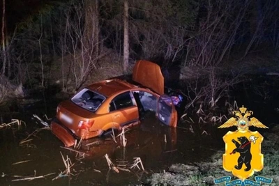 Иномарка улетела в болото после ДТП с лосем